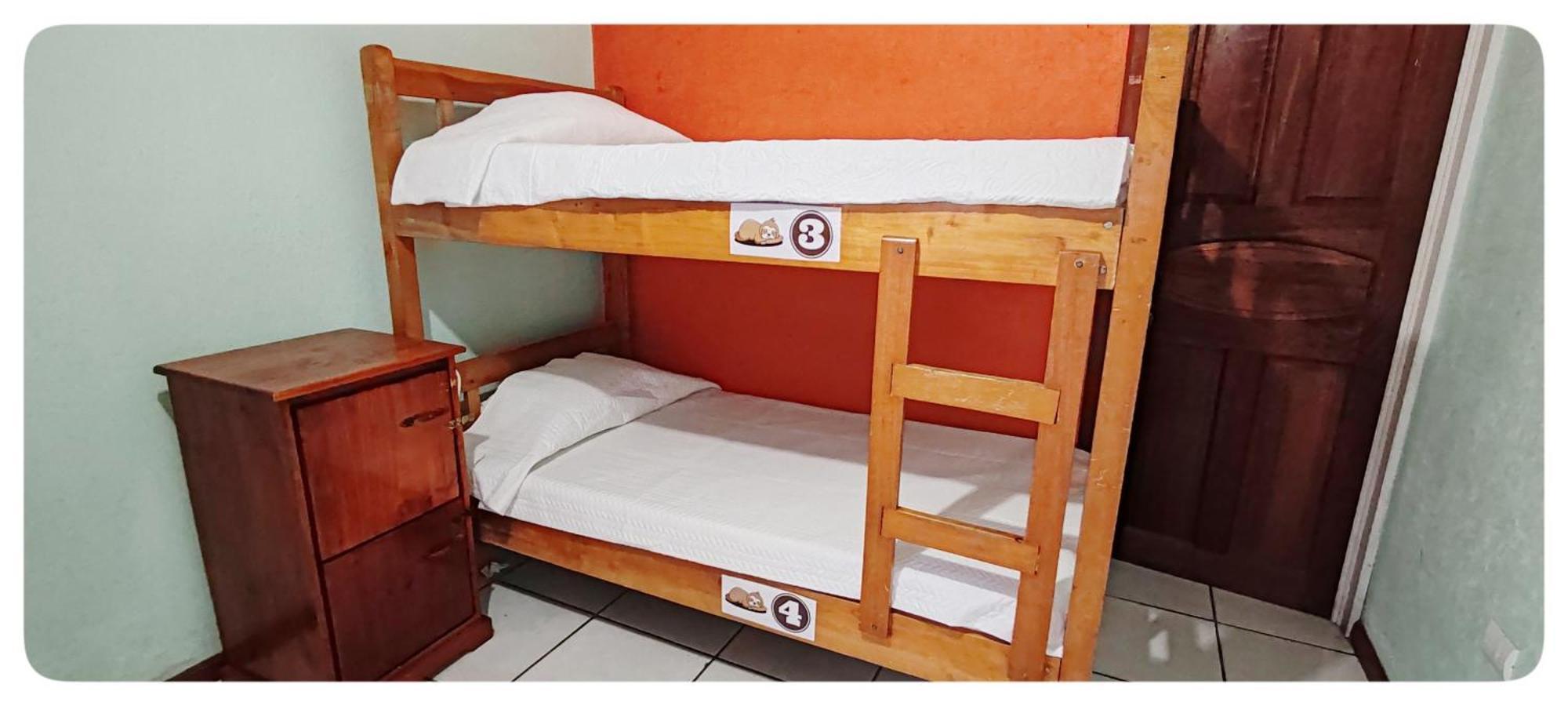 Hotel & Hostel Sloth Backpackers Monteverde Luaran gambar