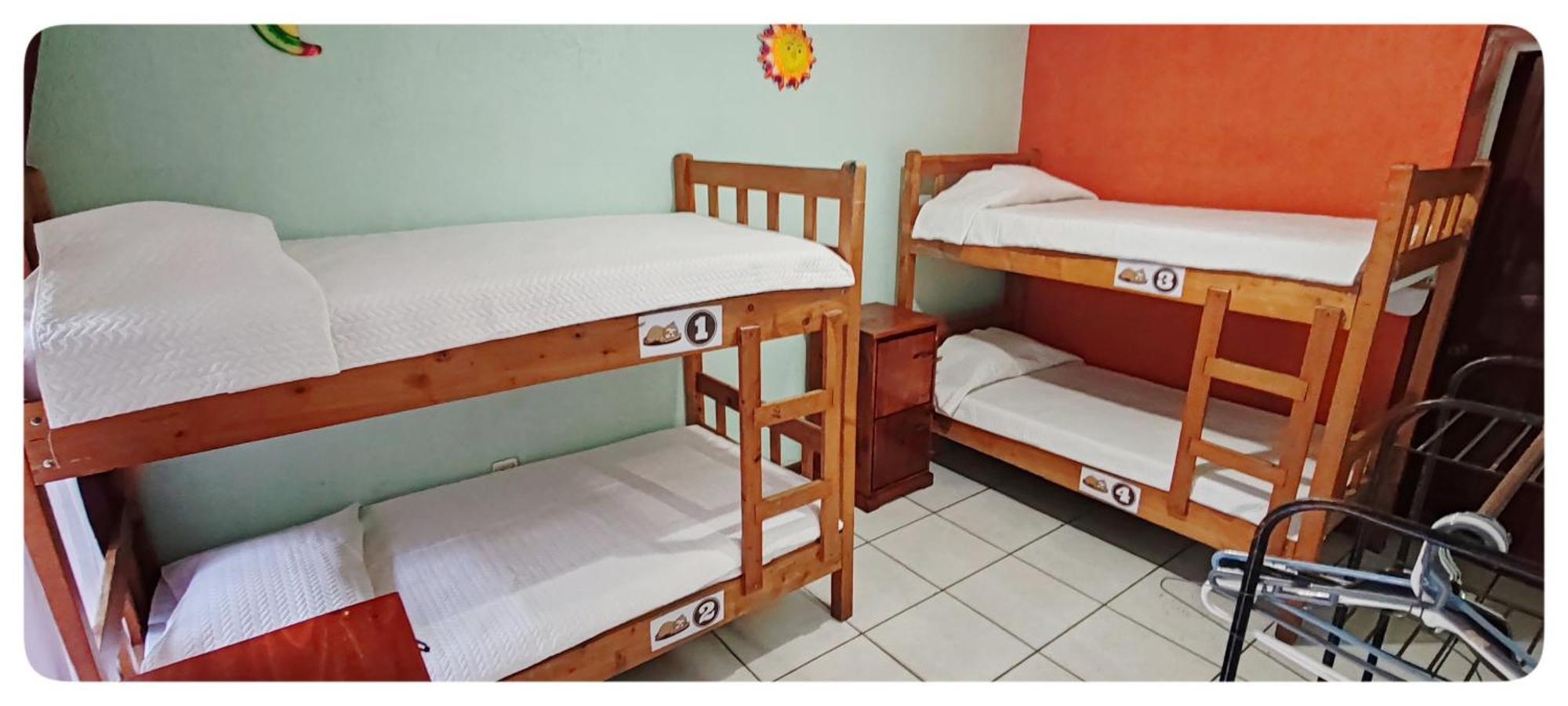 Hotel & Hostel Sloth Backpackers Monteverde Luaran gambar