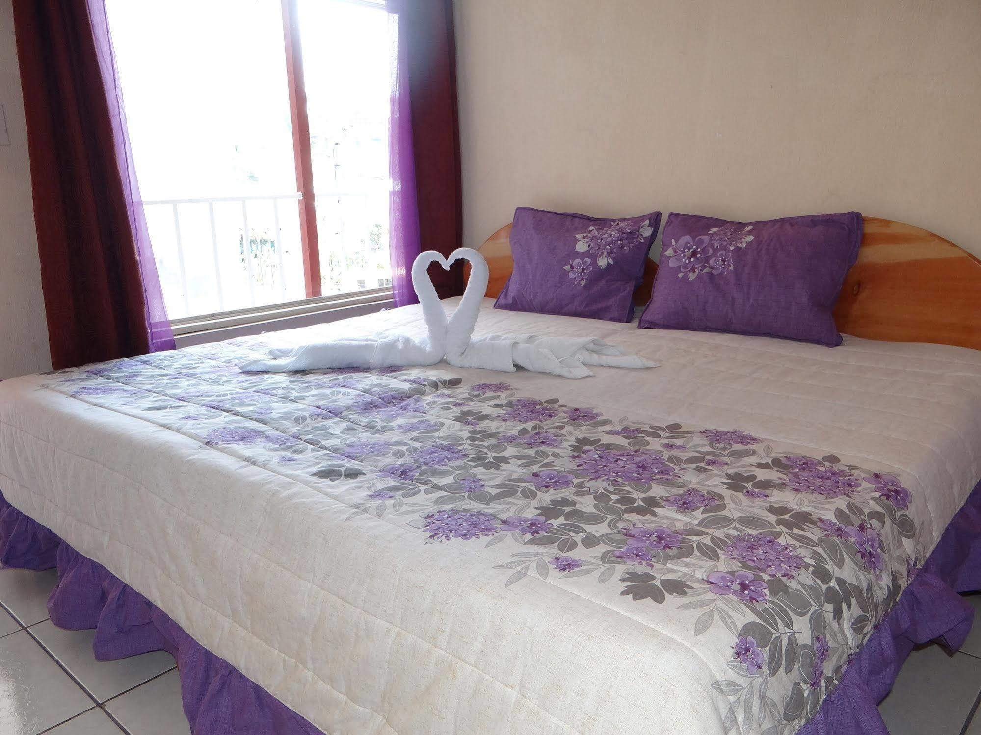 Hotel & Hostel Sloth Backpackers Monteverde Luaran gambar